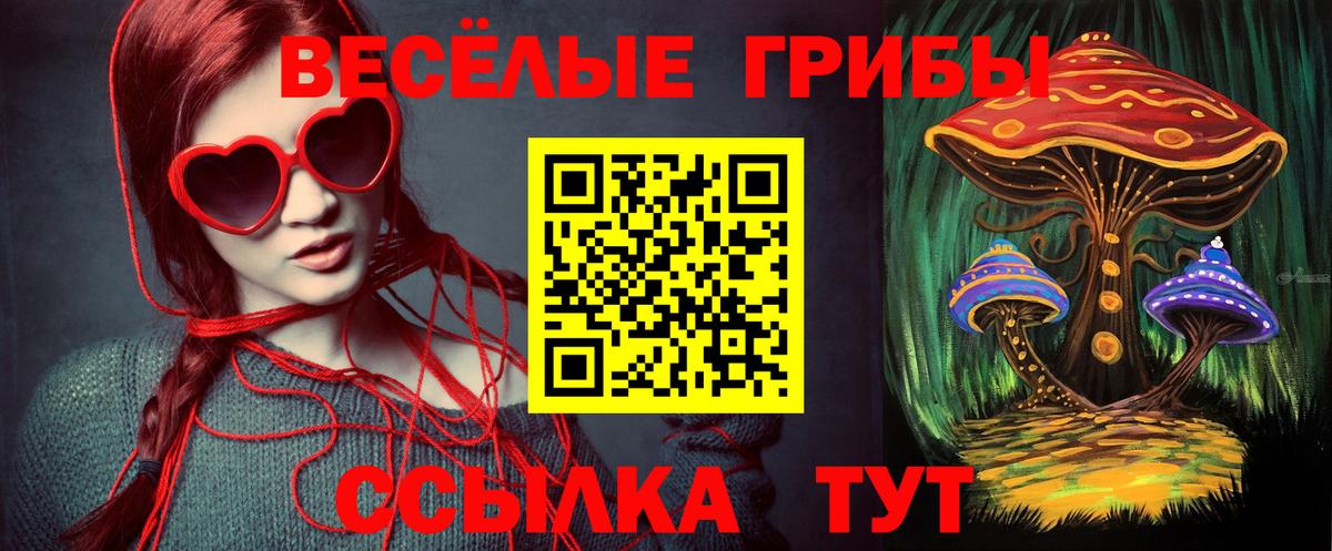 Псилоцибиновые грибы Psilocybe  Вход с VPN  Гагарин 